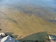 DSCF0083.jpg