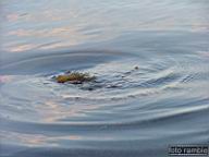 DSCF0109.jpg