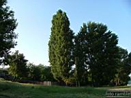 DSCF0118.jpg