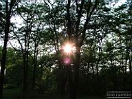 DSCF0145.jpg