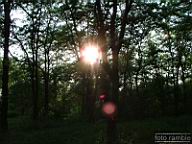 DSCF0147.jpg