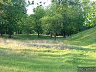 DSCF0154.jpg