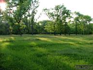 DSCF0157.jpg