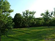 DSCF0166.jpg