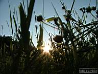 DSCF0179.jpg
