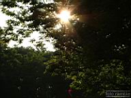 DSCF0181.jpg