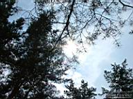 DSCF0376.jpg