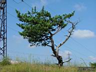 DSCF0523.jpg