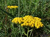 DSCF0578.jpg