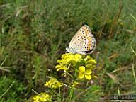 DSCF0589.jpg