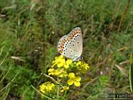 DSCF0598.jpg