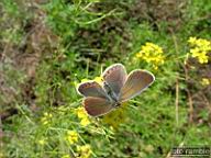 DSCF0600.jpg