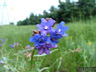 DSCF0616.jpg
