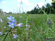 DSCF0617.jpg