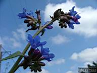 DSCF0619.jpg
