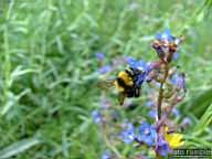 DSCF0630.jpg