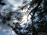 DSCF0655.jpg