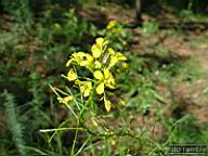 DSCF0675.jpg