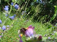 DSCF0717.jpg