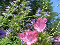 DSCF0721.jpg