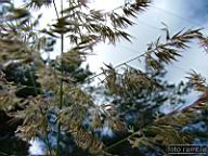 DSCF0755.jpg
