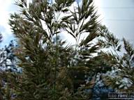 DSCF0756.jpg