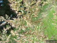 DSCF0757.jpg
