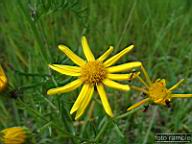 DSCF0759.jpg