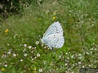 DSCF0804.jpg