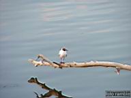 DSCF1456.jpg