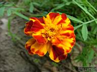 DSCF0028.jpg
