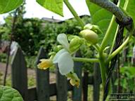DSCF0083.jpg