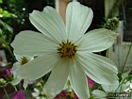 DSCF0070.jpg
