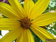DSCF0071.jpg