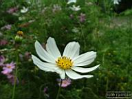 DSCF0075.jpg