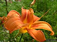 DSCF0076.jpg