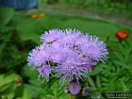 DSCF0081.jpg