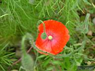 DSCF0097.jpg
