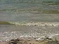 DSCF0229.jpg