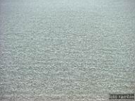 DSCF0392.jpg