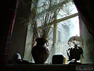 DSCF0411.jpg