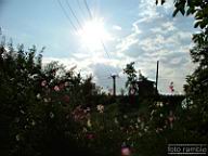 DSCF0427.jpg