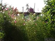DSCF0429.jpg