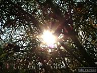 DSCF0438.jpg