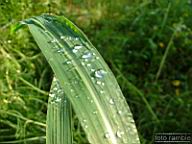 DSCF0442.jpg
