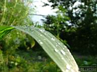 DSCF0443.jpg