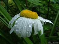 DSCF0446.jpg