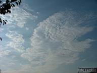 DSCF0453.jpg