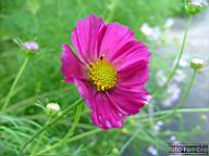 DSCF0458.jpg