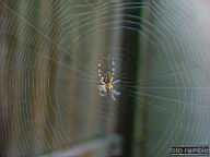 DSCF0499.jpg